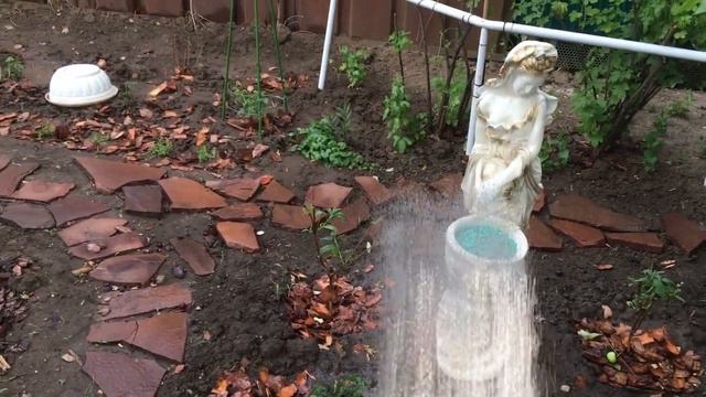 Вечерний душ для цветов, после сильной жары! смотреть онлайн