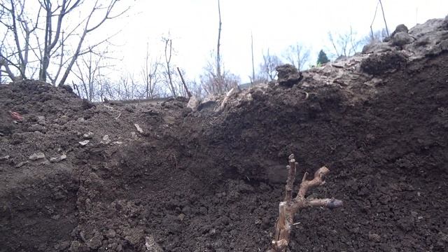 Танюшка готовит овсяное молоко и пироги смотреть онлайн