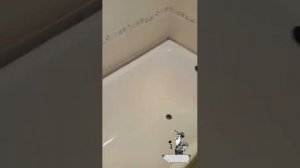 Покрытие ванны акрилом отзывы ( отзыв N 31 )