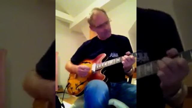Gibson ES 330 TD. 1965 Vintage смотреть онлайн