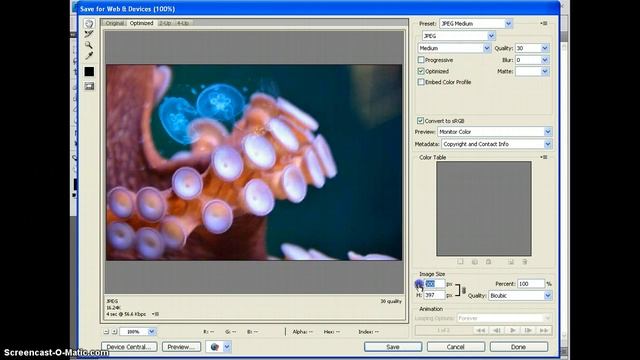 save a photoshop image for the web смотреть онлайн