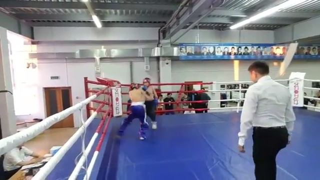 5 ноября 2016 г. смотреть онлайн