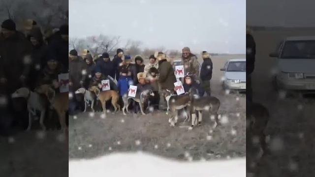 Бексултан,Канстантиновка смотреть онлайн