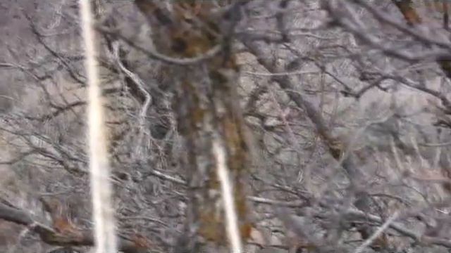 Marie SAR смотреть онлайн