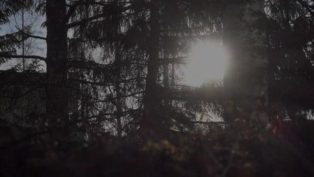 What is Space Scavenger? - Dev Diary 6 смотреть онлайн