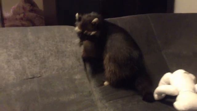 В каждой бочке)))