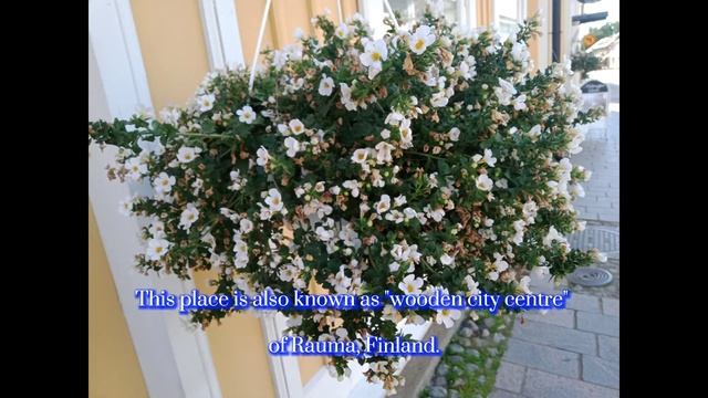 Old Rauma, Finland | UNESCO World Heritage site | Pinay/Guimarasnon in Finland смотреть онлайн