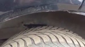 Где вин и номер рамы ховер H5