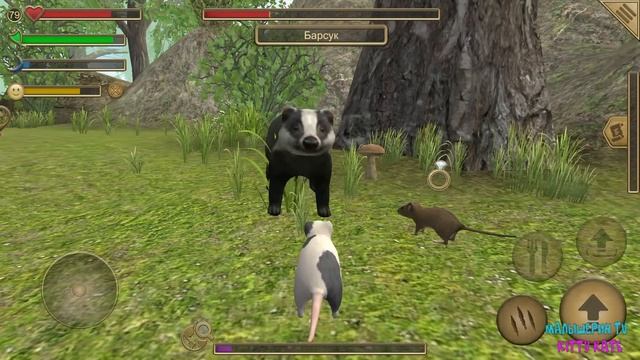 ?СИМУЛЯТОР МЫШИ?Мышонок против барсука Ухаживаю за питомцем