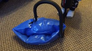 В поисках Дори Надувной мяч-прыгун с ручкой! Fun Finding Dory hopper