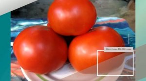 Томат Красным Красно F1 - описание сорта