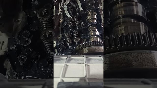 извлечение стаканчиков форсунок dxi 11 и мысли в слух смотреть онлайн