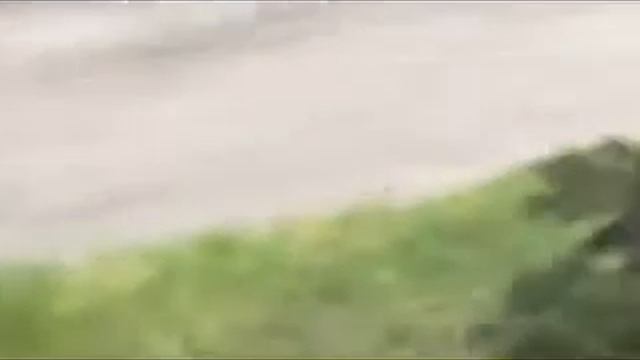 Свидомые  Дети.