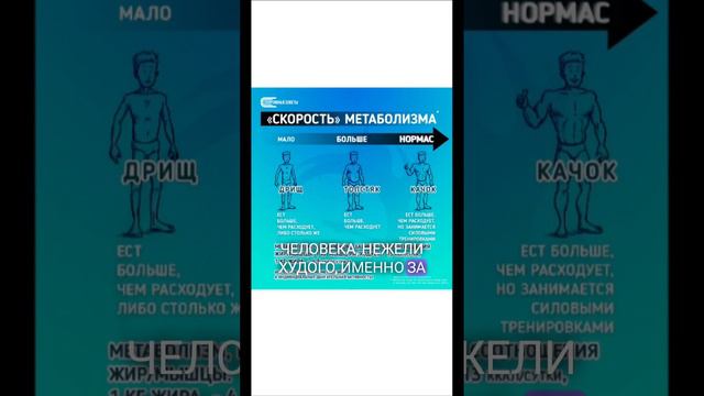 Мой друг ест как не в себя, но не полнеет смотреть онлайн