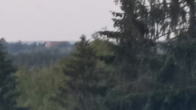 лес, природа и это ещё начало! honda cb400ss #мотобанда #подпишись ? смотреть онлайн