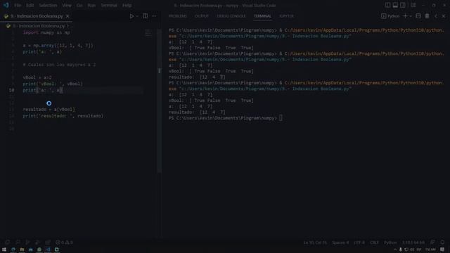 15.4 Numpy: Indexación de Booleana de Arreglos 1D | Vectores | Programar desde cero en Python смотреть онлайн