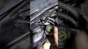 закачка солярки в топливный фильтр форд фокус. 1.8 д