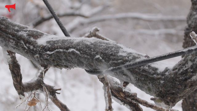 Ледяной Владивосток смотреть онлайн
