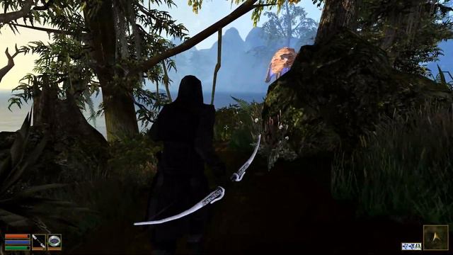 #10 The Elder Scrolls III Morrowind Game of the Year Edition　実況　Vitelliusさんを発見 смотреть онлайн