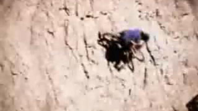 Экстримальный велоспорт смотреть онлайн