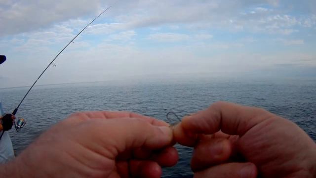 ROCK FISHING SARFI, Рыбалка на Черном море в Сарпи ...ისევ სარფი და ისევ ემოციების ზღვაა 19.07.20.. смотреть онлайн
