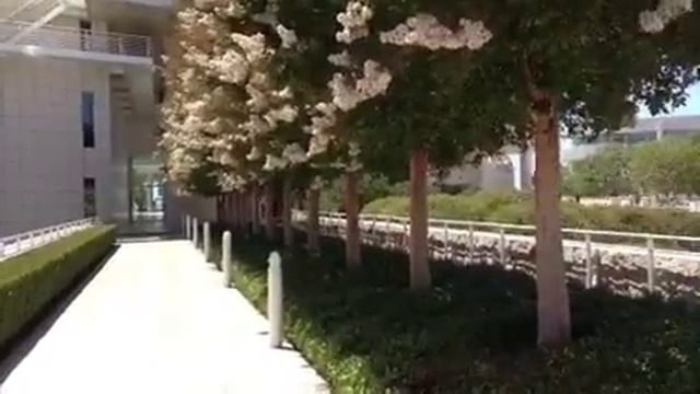 J. Paul Getty Museum. смотреть онлайн