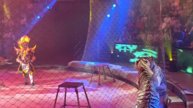 Цирк на Вернадского смотреть онлайн