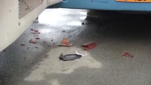 На Русской столкнулись два пассажирских автобуса смотреть онлайн