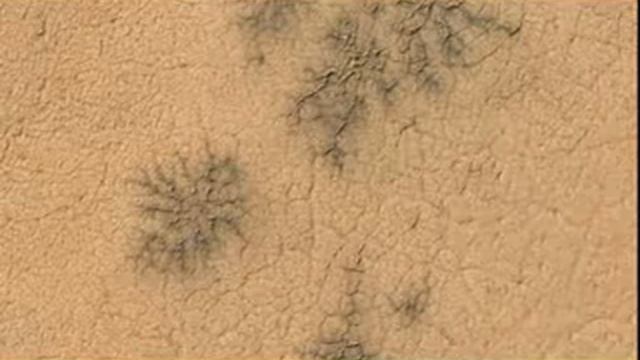Волонтёры нашли паука в неожиданном уголке Марса смотреть онлайн