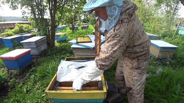 КАК РЕАНЕМИРОВАТЬ СТАРТЁР,ОБРАТНО В ПЧЕЛОСЕМЬЮ,КАК ВЕРНУТЬ ОТВОДОК В ОСНОВНУЮ ПЧЕЛОСЕМЬЮ. смотреть онлайн