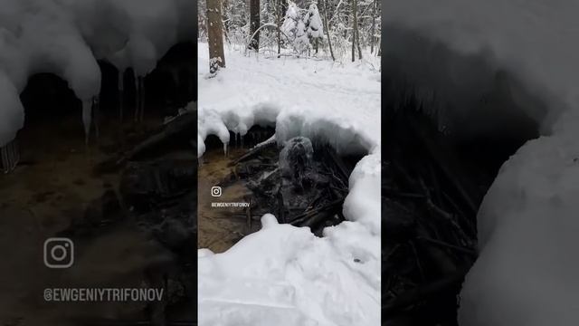 Гатчинские гейзеры! Довольно интересное место! #путешествия смотреть онлайн