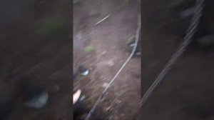 Песня нарката друг молодёжи   И мои животные