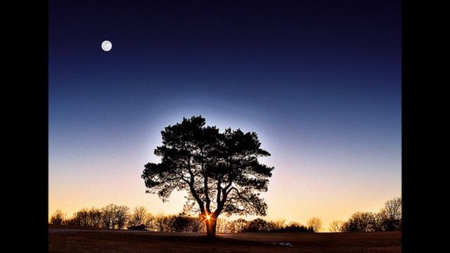 Tõnis Mägi - Öine Lend