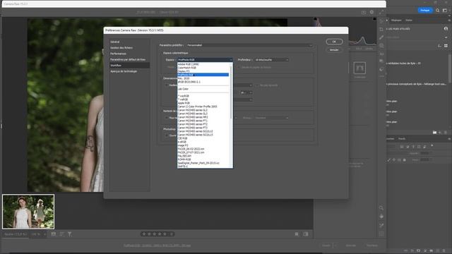Photoshop - Les Bases 75 - Ouvrir un RAW смотреть онлайн