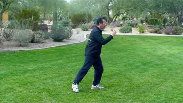 Taijiquan 37 Form with Narration смотреть онлайн
