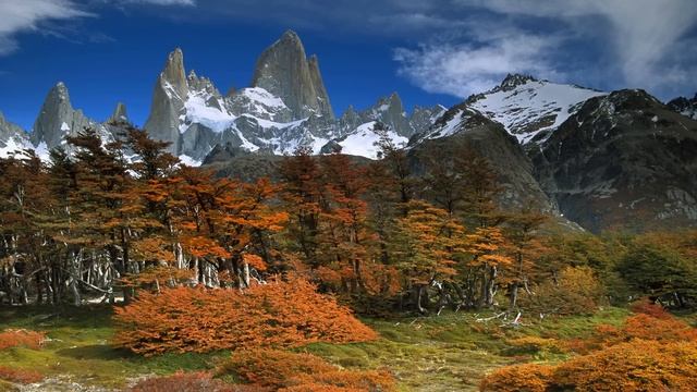Argentine Andean Folk Music смотреть онлайн