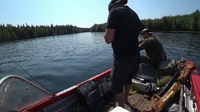 Вкусные традиции