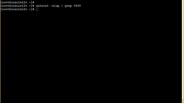 Oracle Database 12c R2: Administration - Aula 05/13 PT-BR смотреть онлайн