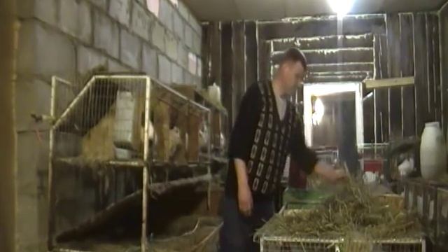 Всем ОГРОМНОЕ спасибо смотреть онлайн