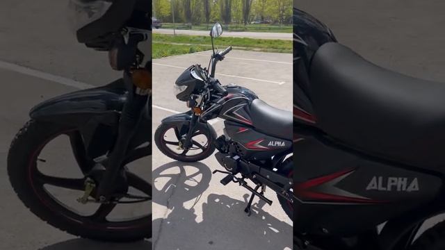 Мопед MOTOLAND ALPHA RF черный смотреть онлайн