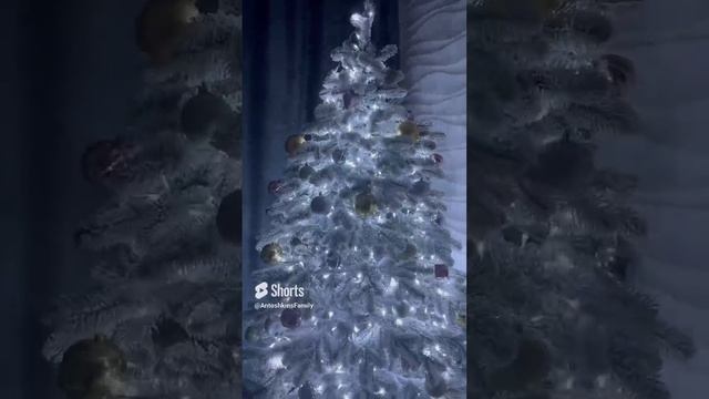 НАША ЕЛОЧКА ?