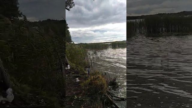Рыбалка на озере Великое смотреть онлайн