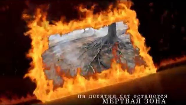 Социальный видеоролик 2 Министерства лесного хозяйства Республики Татарстан смотреть онлайн
