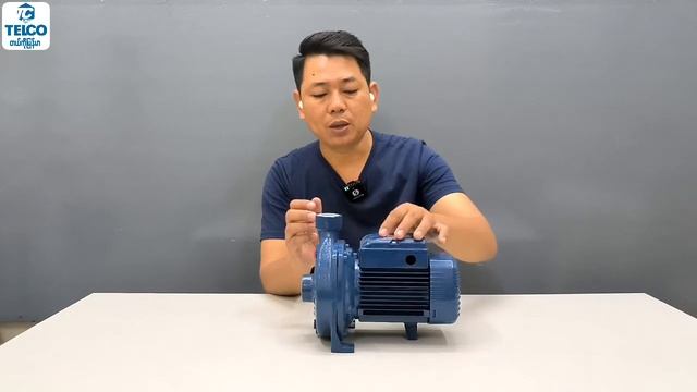 Pedrollo CPM-130 Water Pump смотреть онлайн