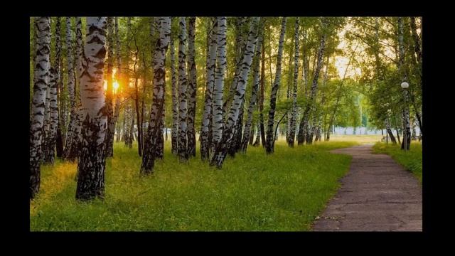 Майский соловей, пение, 3 часа смотреть онлайн