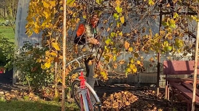 Погода чудесная??Опять выпекаю ?У нас гости?Отличный день?? смотреть онлайн