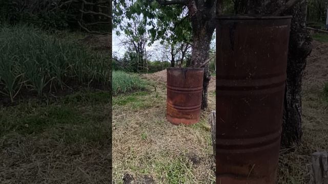 Готовим удобрения для{ЧЕСНОКА} смотреть онлайн