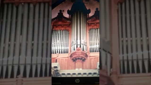 Рукописи сгорают в огне сомнений. Стихи. смотреть онлайн