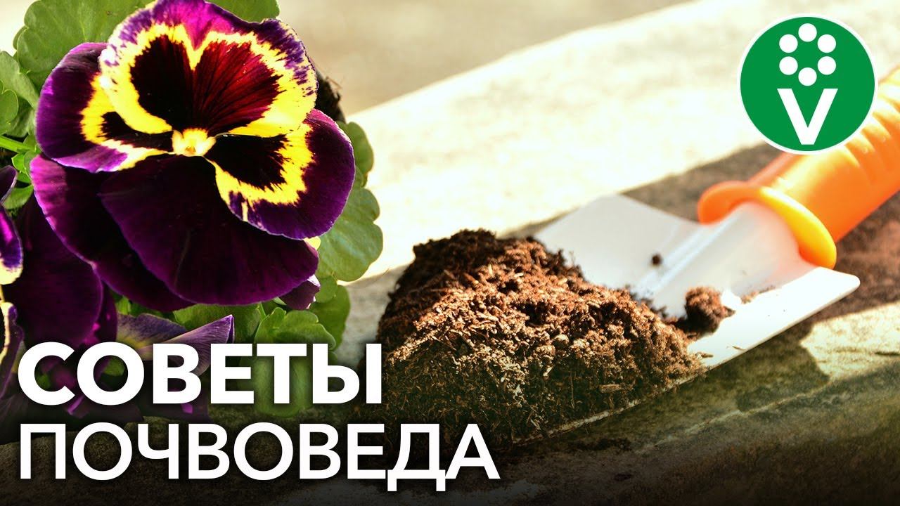 ОТЛИЧНАЯ ПОЧВА ДЛЯ РАССАДЫ! Как самому сделать грунт для рассады томатов, перцев и баклажанов смотреть онлайн