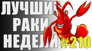 ЛРН выпуск №210. БРИТАНСКИЙ СУМОИСТ и ЗАСТРЯВШИЙ НАГИБАТОР [Лучшие Раки Недели]